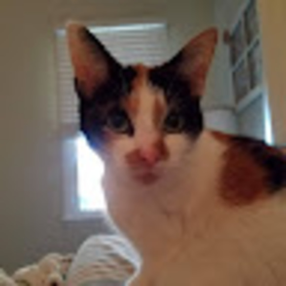 Meet your Posher, Joy - Picture 1 of 1